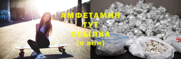 ПСИЛОЦИБИНОВЫЕ ГРИБЫ Алексин