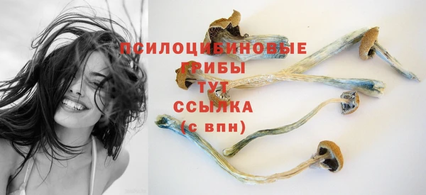 круглые Алексеевка