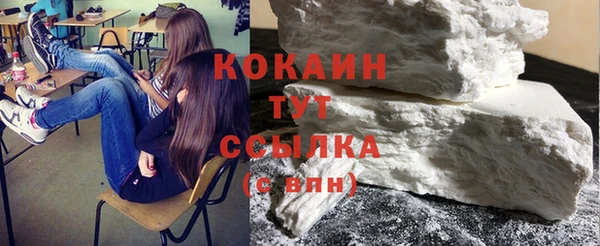 тгк Абаза